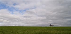 WINCANTON, ENGLAND - OCTOBER 15: A general view as runners race down the back straight in The Join Racing TV Now Maiden Hurdle at Wincanton Racecourse on October 15, 2020 in Wincanton, England. Owners are allowed to attend if they have a runner at the meeting otherwise racing remains behind closed doors to the public due to the Coronavirus pandemic. (Photo by Alan Crowhurst/Getty Images)