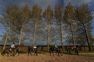 WINCANTON, ENGLAND - OCTOBER 15: A general view as runners make their way to the track at Wincanton Racecourse on October 15, 2020 in Wincanton, England. Owners are allowed to attend if they have a runner at the meeting otherwise racing remains behind closed doors to the public due to the Coronavirus pandemic. (Photo by Alan Crowhurst/Getty Images)