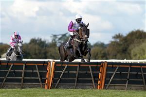 WINCANTON, ENGLAND - OCTOBER 15: Harry Cobden riding Celestial Force clear the last to win The Bet At racingtv.com Novices' Hurdle at Wincanton Racecourse on October 15, 2020 in Wincanton, England. Owners are allowed to attend if they have a runner at the meeting otherwise racing remains behind closed doors to the public due to the Coronavirus pandemic. (Photo by Alan Crowhurst/Getty Images)