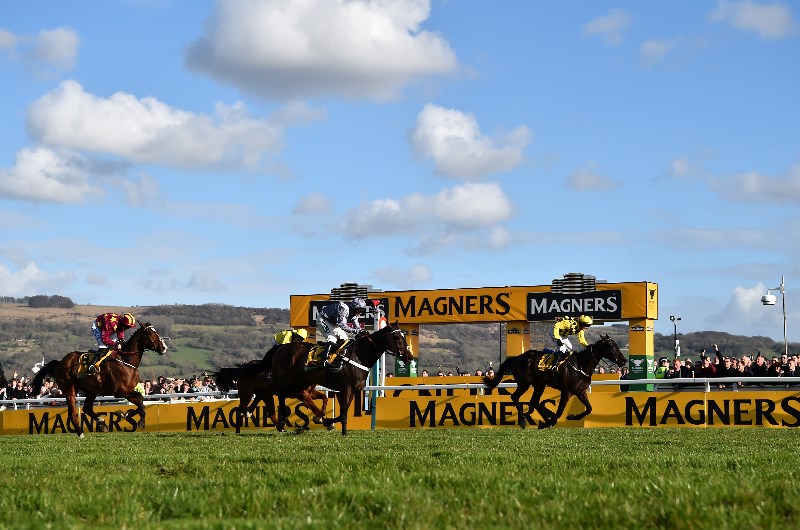 Cheltenham Gold Cup
