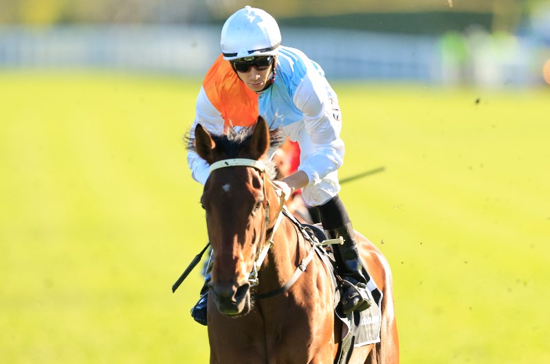 Spring Champion Stakes Spring Champion Stakes
