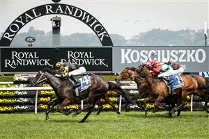 SYDNEY, AUSTRALIA - OCTOBER 17: Jason Collett wins race 5 The Kosciuszko during Sydney racing Everest Race Day at Royal Randwick Racecourse on October 17, 2020 in Sydney, Australia. (Photo by Hanna Lassen/Getty Images for Australian Turf Club)