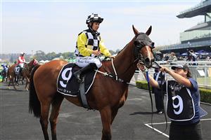 SYDNEY, AUSTRALIA - OCTOBER 17: Rachel King on Purple Sector returns to scale after winning race 3 the Star Mile during Sydney Racing at Royal Randwick Racecourse on October 17, 2020 in Sydney, Australia. (Photo by Mark Evans/Getty Images)