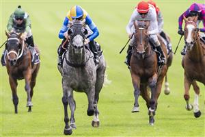 SYDNEY, AUSTRALIA - JANUARY 25: Joshua Parr (blue and yellow) on Fun Fact wins race 4 The Pfd Food Services Handicap during Sydney Racing at Royal Randwick Racecourse on January 25, 2020 in Sydney, Australia. (Photo by Jenny Evans/Getty Images)