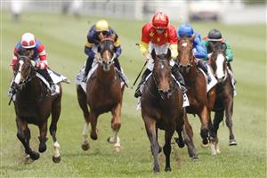 SYDNEY, AUSTRALIA - OCTOBER 17: Jason Collett on Captivant wins race 1 the ACY Securities Victory Vein Plate during Sydney Racing at Royal Randwick Racecourse on October 17, 2020 in Sydney, Australia. (Photo by Mark Evans/Getty Images)