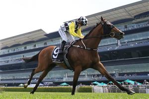SYDNEY, AUSTRALIA - OCTOBER 17: Rachel King on Purple Sector wins race 3 the Star Mile during Sydney Racing at Royal Randwick Racecourse on October 17, 2020 in Sydney, Australia. (Photo by Mark Evans/Getty Images)