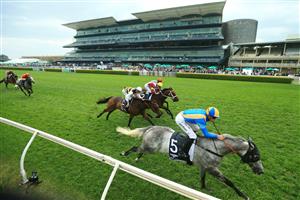 SYDNEY, AUSTRALIA - OCTOBER 17: Josh Parr on Fun Fact wins race 9 the Bentley St Leger Stakes during Sydney Racing at Royal Randwick Racecourse on October 17, 2020 in Sydney, Australia. (Photo by Mark Evans/Getty Images)