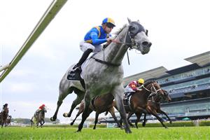 SYDNEY, AUSTRALIA - OCTOBER 17: Josh Parr on Fun Fact wins race 9 the Bentley St Leger Stakes during Sydney Racing at Royal Randwick Racecourse on October 17, 2020 in Sydney, Australia. (Photo by Mark Evans/Getty Images)