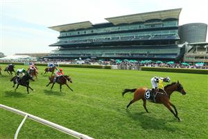 SYDNEY, AUSTRALIA - OCTOBER 17: Rachel King on Purple Sector wins race 3 the Star Mile during Sydney Racing at Royal Randwick Racecourse on October 17, 2020 in Sydney, Australia. (Photo by Mark Evans/Getty Images)