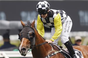 SYDNEY, AUSTRALIA - OCTOBER 17: Rachel King on Purple Sector wins race 3 the Star Mile during Sydney Racing at Royal Randwick Racecourse on October 17, 2020 in Sydney, Australia. (Photo by Mark Evans/Getty Images)