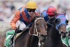 SYDNEY, AUSTRALIA - OCTOBER 17: Glen Boss on Thyink It Over wins race 8 the Yulong Australia Craven Plate during Sydney Racing at Royal Randwick Racecourse on October 17, 2020 in Sydney, Australia. (Photo by Mark Evans/Getty Images)