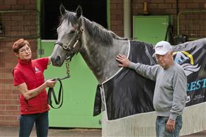 SYDNEY, AUSTRALIA - OCTOBER 18: Racing manager Carmel Size and trainer Les Bridge are seen with Classique Legend at the Randwick stables after winning The Everest on October 17. (Getty Images)