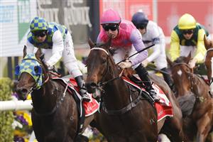 SYDNEY, AUSTRALIA - OCTOBER 17: Tommy Berry on Trumbull wins race 6 the Fujitsu General Sydney Stakes during Sydney Racing at Royal Randwick Racecourse on October 17, 2020 in Sydney, Australia. (Photo by Mark Evans/Getty Images)