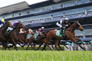 SYDNEY, AUSTRALIA - OCTOBER 17: Tommy Berry on Air Marshall wins race 2 the TAB Highway Class 3 Handicap during Sydney Racing at Royal Randwick Racecourse on October 17, 2020 in Sydney, Australia. (Photo by Mark Evans/Getty Images)