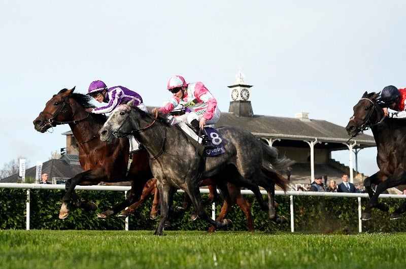 Vertem Futurity Trophy