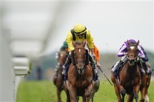 ASCOT, ENGLAND - OCTOBER 17: Tom Marquand riding Addeybb (yellow) win The Qipco Champion Stakes during the Qipco British Champions Day at Ascot Racecourse on October 17, 2020 in Ascot, England. Owners are allowed to attend if they have a runner at the meeting otherwise racing remains behind closed doors to the public due to the Coronavirus pandemic. (Photo by Alan Crowhurst/Getty Images)