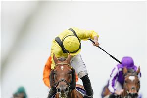 ASCOT, ENGLAND - OCTOBER 17: Tom Marquand riding Addeybb (yellow) win The Qipco Champion Stakes during the Qipco British Champions Day at Ascot Racecourse on October 17, 2020 in Ascot, England. Owners are allowed to attend if they have a runner at the meeting otherwise racing remains behind closed doors to the public due to the Coronavirus pandemic. (Photo by Alan Crowhurst/Getty Images)