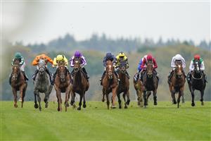 ASCOT, ENGLAND - OCTOBER 17: Tom Marquand riding Addeybb (yellow) win The Qipco Champion Stakes during the Qipco British Champions Day at Ascot Racecourse on October 17, 2020 in Ascot, England. Owners are allowed to attend if they have a runner at the meeting otherwise racing remains behind closed doors to the public due to the Coronavirus pandemic. (Photo by Alan Crowhurst/Getty Images)