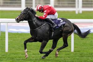 ASCOT, ENGLAND - OCTOBER 17: Tom Marquand riding Njord wins The Balmoral Handicap during the Qipco British Champions Day at Ascot Racecourse on October 17, 2020 in Ascot, England. Owners are allowed to attend if they have a runner at the meeting otherwise racing remains behind closed doors to the public due to the Coronavirus pandemic. (Photo by Alan Crowhurst/Getty Images)
