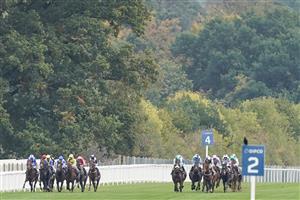 ASCOT, ENGLAND - OCTOBER 17: A general view as runners make their way down the track in The Balmoral Handicap during the Qipco British Champions Day at Ascot Racecourse on October 17, 2020 in Ascot, England. Owners are allowed to attend if they have a runner at the meeting otherwise racing remains behind closed doors to the public due to the Coronavirus pandemic. (Photo by Alan Crowhurst/Getty Images)