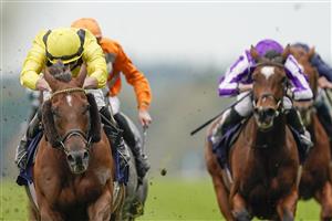 ASCOT, ENGLAND - OCTOBER 17: Tom Marquand riding Addeybb (yellow) win The Qipco Champion Stakes during the Qipco British Champions Day at Ascot Racecourse on October 17, 2020 in Ascot, England. Owners are allowed to attend if they have a runner at the meeting otherwise racing remains behind closed doors to the public due to the Coronavirus pandemic. (Photo by Alan Crowhurst/Getty Images)