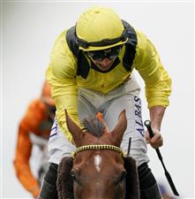 ASCOT, ENGLAND - OCTOBER 17: Tom Marquand riding Addeybb (yellow) win The Qipco Champion Stakes during the Qipco British Champions Day at Ascot Racecourse on October 17, 2020 in Ascot, England. Owners are allowed to attend if they have a runner at the meeting otherwise racing remains behind closed doors to the public due to the Coronavirus pandemic. (Photo by Alan Crowhurst/Getty Images)