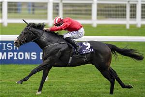 ASCOT, ENGLAND - OCTOBER 17: Tom Marquand riding Njord wins The Balmoral Handicap during the Qipco British Champions Day at Ascot Racecourse on October 17, 2020 in Ascot, England. Owners are allowed to attend if they have a runner at the meeting otherwise racing remains behind closed doors to the public due to the Coronavirus pandemic. (Photo by Alan Crowhurst/Getty Images)