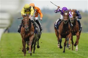 ASCOT, ENGLAND - OCTOBER 17: Tom Marquand riding Addeybb (yellow) win The Qipco Champion Stakes during the Qipco British Champions Day at Ascot Racecourse on October 17, 2020 in Ascot, England. Owners are allowed to attend if they have a runner at the meeting otherwise racing remains behind closed doors to the public due to the Coronavirus pandemic. (Photo by Alan Crowhurst/Getty Images)