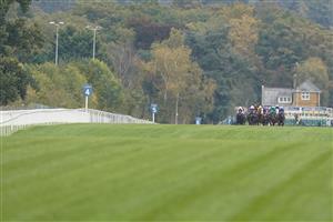 ASCOT, ENGLAND - OCTOBER 17: A general view as runner make their way down the track in The Queen Elizabeth II Stakes during the Qipco British Champions Day at Ascot Racecourse on October 17, 2020 in Ascot, England. Owners are allowed to attend if they have a runner at the meeting otherwise racing remains behind closed doors to the public due to the Coronavirus pandemic. (Photo by Alan Crowhurst/Getty Images)