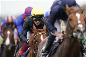 ASCOT, ENGLAND - OCTOBER 17: Frankie Dettori riding Stradivarius (L, yellow cap) finish down the field in The Qipco British Champions Long Distance Cup during the Qipco British Champions Day at Ascot Racecourse on October 17, 2020 in Ascot, England. Owners are allowed to attend if they have a runner at the meeting otherwise racing remains behind closed doors to the public due to the Coronavirus pandemic. (Photo by Alan Crowhurst/Getty Images)
