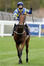 ASCOT, ENGLAND - OCTOBER 17: Hollie Doyle after riding Trueshan to win The Qipco British Champions Long Distance Cup during the Qipco British Champions Day at Ascot Racecourse on October 17, 2020 in Ascot, England. Owners are allowed to attend if they have a runner at the meeting otherwise racing remains behind closed doors to the public due to the Coronavirus pandemic. (Photo by Alan Crowhurst/Getty Images)
