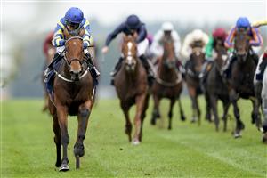 ASCOT, ENGLAND - OCTOBER 17: Hollie Doyle riding Trueshan (L, blue cap) win The Qipco British Champions Long Distance Cup during the Qipco British Champions Day at Ascot Racecourse on October 17, 2020 in Ascot, England. Owners are allowed to attend if they have a runner at the meeting otherwise racing remains behind closed doors to the public due to the Coronavirus pandemic. (Photo by Alan Crowhurst/Getty Images)