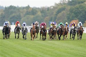 ASCOT, ENGLAND - OCTOBER 17: Hollie Doyle riding Glen Shiel (C, gold), dark cap) win The Qipco British Champions Sprint Stakes during the Qipco British Champions Day at Ascot Racecourse on October 17, 2020 in Ascot, England. Owners are allowed to attend if they have a runner at the meeting otherwise racing remains behind closed doors to the public due to the Coronavirus pandemic. (Photo by Alan Crowhurst/Getty Images)