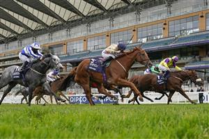 ASCOT, ENGLAND - OCTOBER 17: Hollie Doyle riding Glen Shiel (C, gold) win The Qipco British Champions Sprint Stakes during the Qipco British Champions Day at Ascot Racecourse on October 17, 2020 in Ascot, England. Owners are allowed to attend if they have a runner at the meeting otherwise racing remains behind closed doors to the public due to the Coronavirus pandemic. (Photo by Alan Crowhurst/Getty Images)