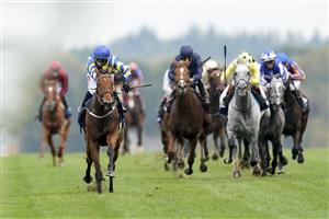 ASCOT, ENGLAND - OCTOBER 17: Hollie Doyle riding Trueshan (L, blue cap) win The Qipco British Champions Long Distance Cup during the Qipco British Champions Day at Ascot Racecourse on October 17, 2020 in Ascot, England. Owners are allowed to attend if they have a runner at the meeting otherwise racing remains behind closed doors to the public due to the Coronavirus pandemic. (Photo by Alan Crowhurst/Getty Images)