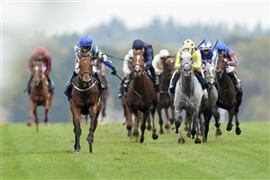 ASCOT, ENGLAND - OCTOBER 17: Hollie Doyle riding Trueshan (L, blue cap) win The Qipco British Champions Long Distance Cup during the Qipco British Champions Day at Ascot Racecourse on October 17, 2020 in Ascot, England. Owners are allowed to attend if they have a runner at the meeting otherwise racing remains behind closed doors to the public due to the Coronavirus pandemic. (Photo by Alan Crowhurst/Getty Images)