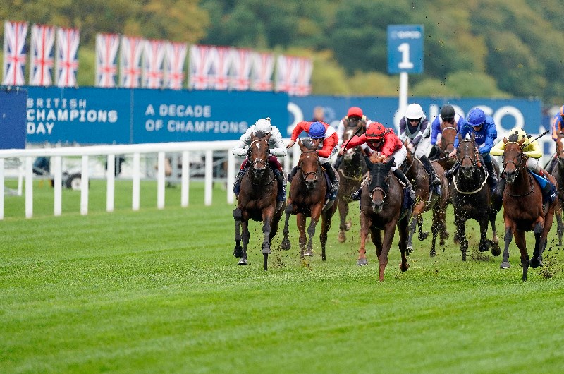 Champions Day
