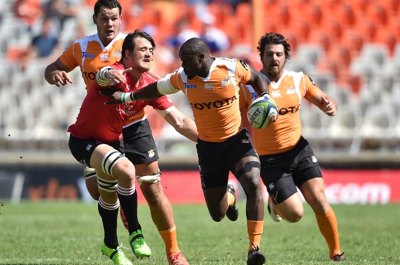 Lions vs Cheetahs