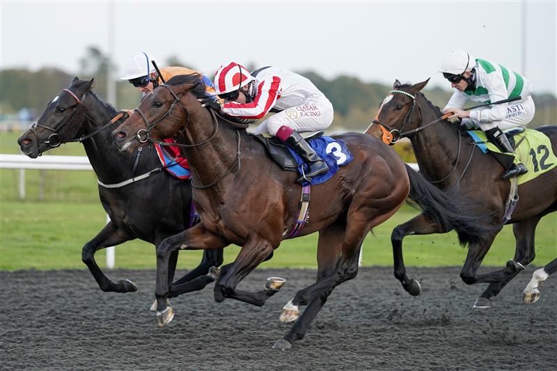 Racing Pictures Kempton Races On October 20th Racing Pictures Kempton Races On October 20th