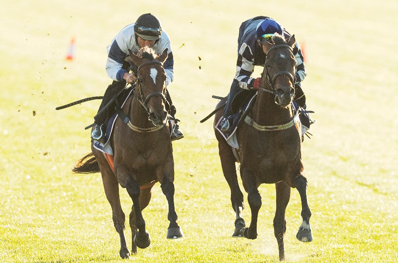 Russian Camelot Megabet