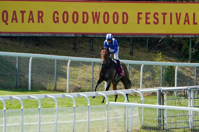 Glorious Goodwood 2021 Dates Glorious Goodwood 2021 Dates