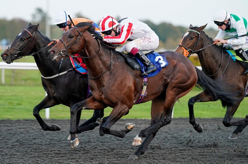 kempton arcadian