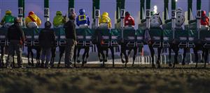 SUNBURY, ENGLAND - OCTOBER 20: A general view as runners leave the stalls in The Unibet Extra Place Offers Every Day Handicap at Kempton Park Racecourse on October 20, 2020 in Sunbury, England. Owners are allowed to attend if they have a runner at the meeting otherwise racing remains behind closed doors to the public due to the Coronavirus pandemic. (Photo by Alan Crowhurst/Getty Images)