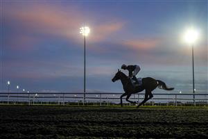 SUNBURY, ENGLAND - OCTOBER 20: A general view as runners makes its way to the start for the Unibet Extra Place Offers Every Day Handicap at Kempton Park Racecourse on October 20, 2020 in Sunbury, England. Owners are allowed to attend if they have a runner at the meeting otherwise racing remains behind closed doors to the public due to the Coronavirus pandemic. (Photo by Alan Crowhurst/Getty Images)