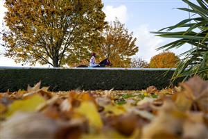 SUNBURY, ENGLAND - OCTOBER 20: A general view as a runner makes its way to the track for the opener at Kempton Park Racecourse on October 20, 2020 in Sunbury, England. Owners are allowed to attend if they have a runner at the meeting otherwise racing remains behind closed doors to the public due to the Coronavirus pandemic. (Photo by Alan Crowhurst/Getty Images)