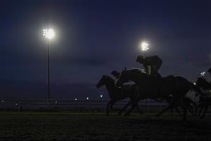 SUNBURY, ENGLAND - OCTOBER 20: A general view as runners ease down after finishing in The Unibet Extra Place Offers Every Day Handicap at Kempton Park Racecourse on October 20, 2020 in Sunbury, England. Owners are allowed to attend if they have a runner at the meeting otherwise racing remains behind closed doors to the public due to the Coronavirus pandemic. (Photo by Alan Crowhurst/Getty Images)