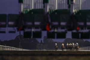 SUNBURY, ENGLAND - OCTOBER 20: A general view as runners leave the stalls in The Unibet Extra Place Offers Every Day Handicap at Kempton Park Racecourse on October 20, 2020 in Sunbury, England. Owners are allowed to attend if they have a runner at the meeting otherwise racing remains behind closed doors to the public due to the Coronavirus pandemic. (Photo by Alan Crowhurst/Getty Images)