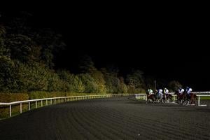 SUNBURY, ENGLAND - OCTOBER 20: A general view as runners in The Unibet Casino Handicap (Div 1) make their way towards the back straight at Kempton Park Racecourse on October 20, 2020 in Sunbury, England. Owners are allowed to attend if they have a runner at the meeting otherwise racing remains behind closed doors to the public due to the Coronavirus pandemic. (Photo by Alan Crowhurst/Getty Images)