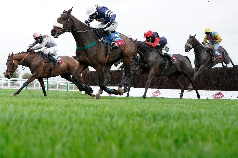 Cheltenham Tips Showcase Meeting day one tips on Friday 23rd October.