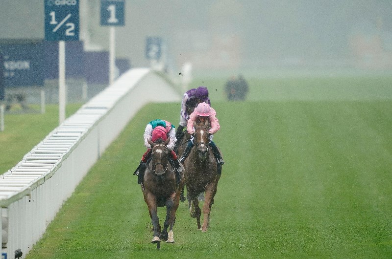enable ascot